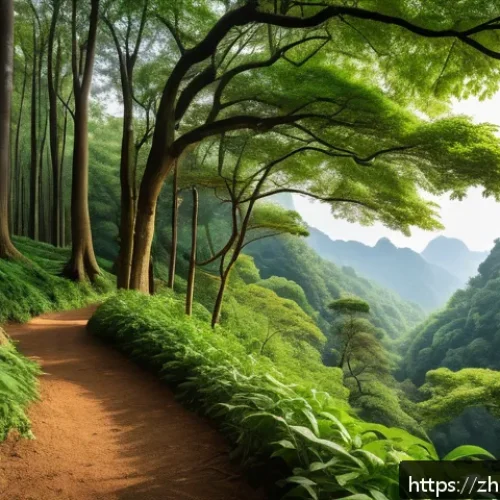 생태계 서비스의 경제적 가치 - A vibrant, lush forest landscape in modern simplified Chinese style, showcasing dense green trees, d...